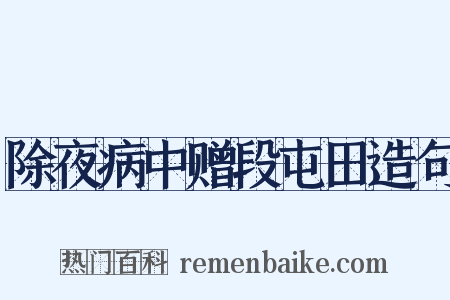 除夜病中赠段屯田造句是什么意思的图片